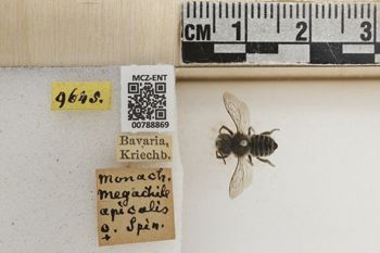 Media type: image;   Entomology 788869 Aspect: Labels